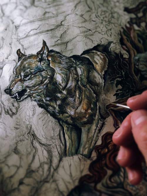 anthro wolf tumblr