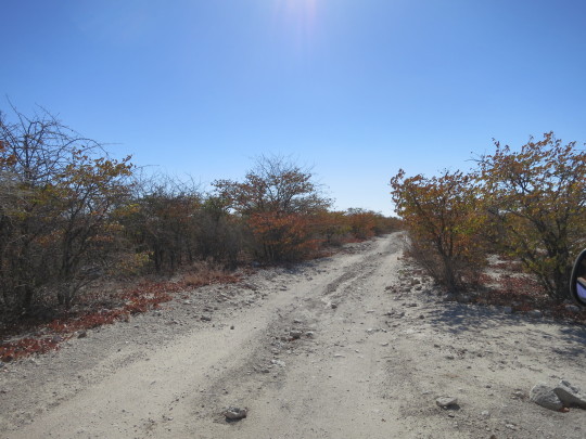 Aventura 4x4 por Botswana y Namibia - Blogs de Africa Sur - Serowe-Kubu Island (7)