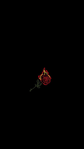 Aesthetic Rose On Fire Tumblr - Largest Wallpaper Portal