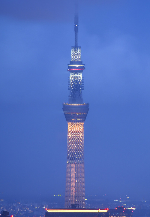 inefekt69: Sky Tree Lights by inefekt69