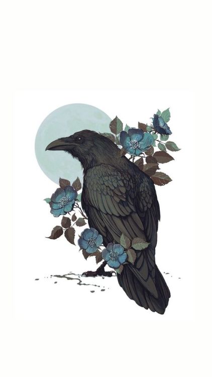 raven art print | Tumblr