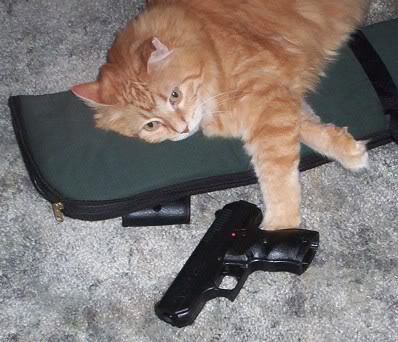 Cat gun прохождение