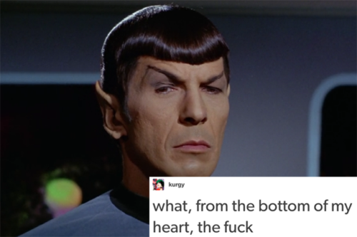 lieutenant-sapphic:spock + text posts