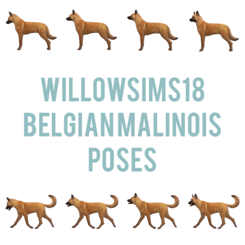 willowsims18