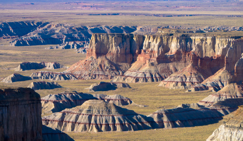 irreversible-inevitability:Coal Mine Canyon, AZ