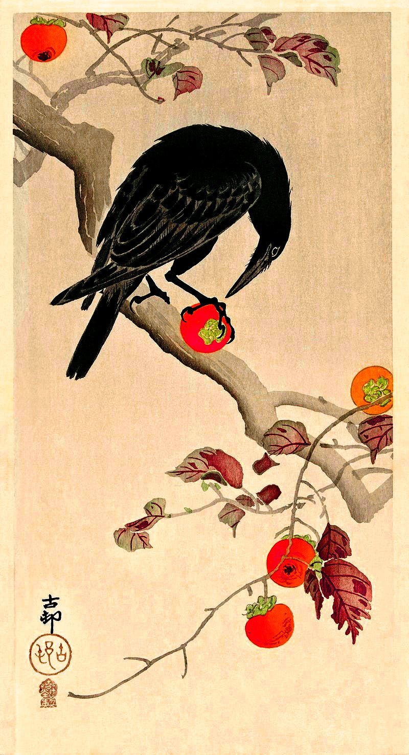 nobrashfestivity:
“ Ohara Koson, Crow Eating a Persimmon, 1930′s
more
”