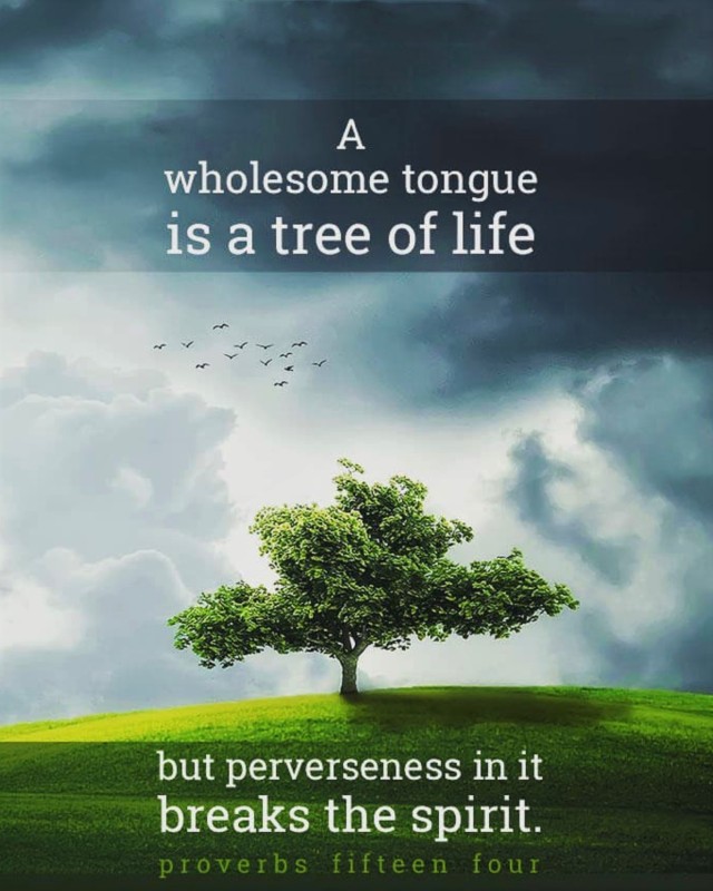 The Living... — Proverbs 15:4 (NKJV) - A wholesome tongue is a...