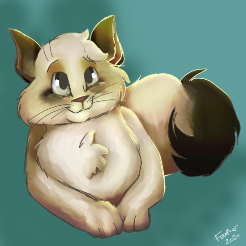 featherowo