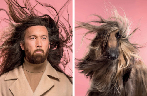 itscolossal:Uncanny Resemblances Between Classic Dog Breeds and...