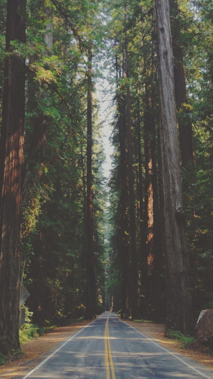 alockscreen:NATURE LOCKSCREENSlike or reblog if you save,...