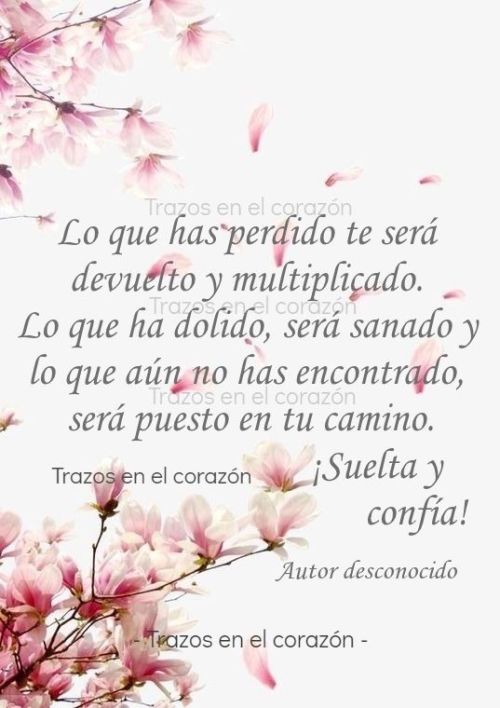 Frases Bonitas de Reflexión para Meditar - Frases de Sarcasmo