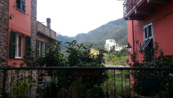 tumblr photo