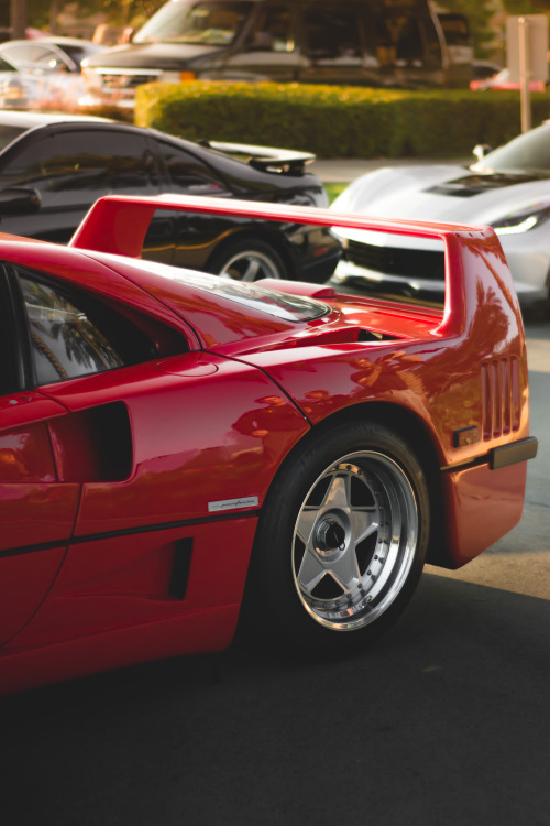 f40 on Tumblr