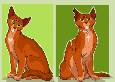 warrior cats redesign