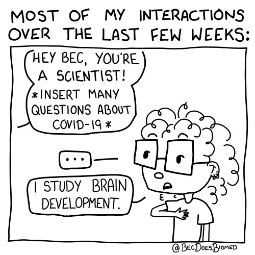 becdoesbiomed