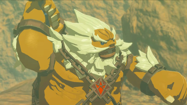 I Just Like Taking Pictures In Hyrule — Champion Daruk; Champion of Vah ...