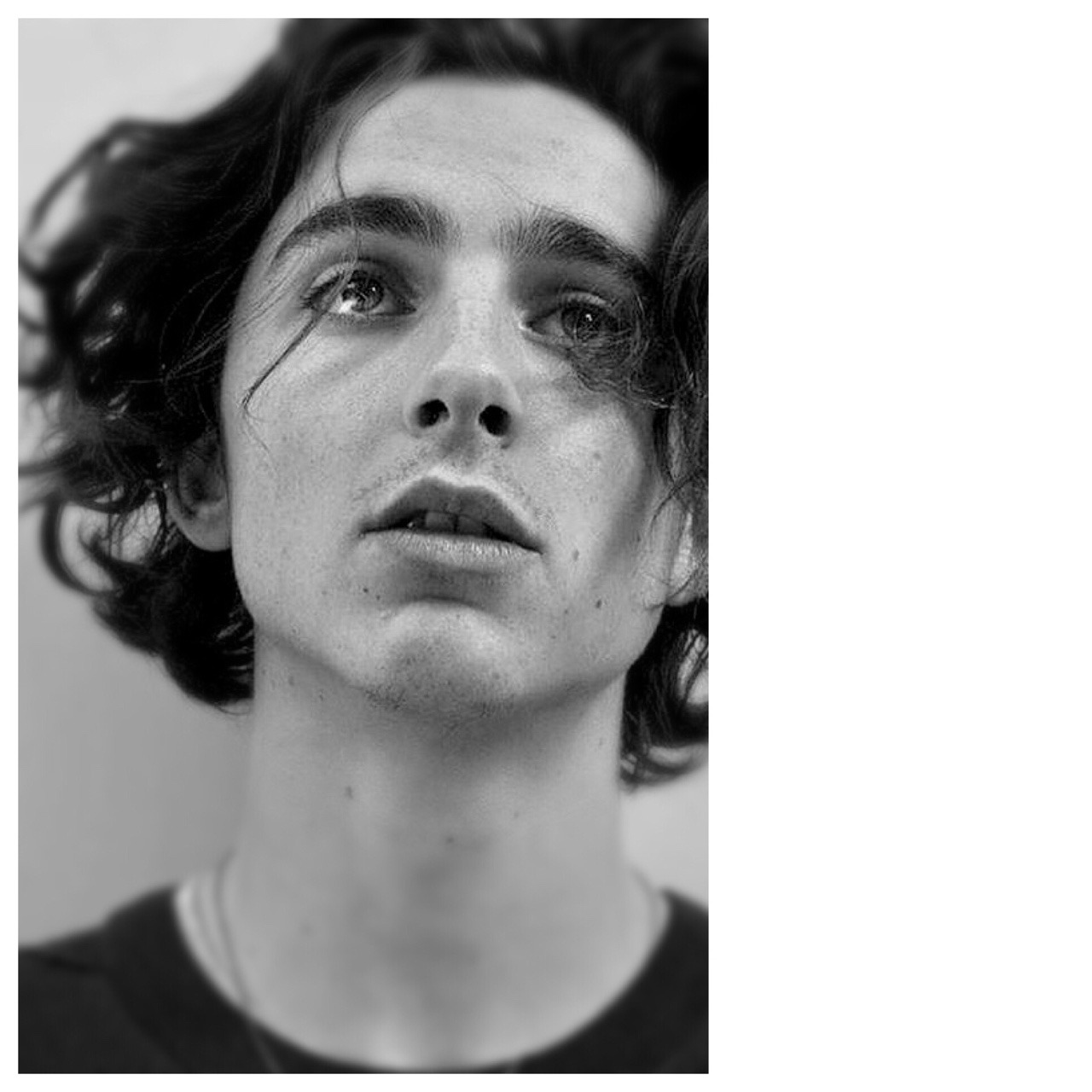 Timothee chalamet in bw