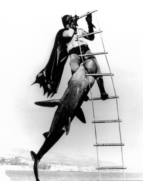 shadows-of-the-bat:batman the movie 1966