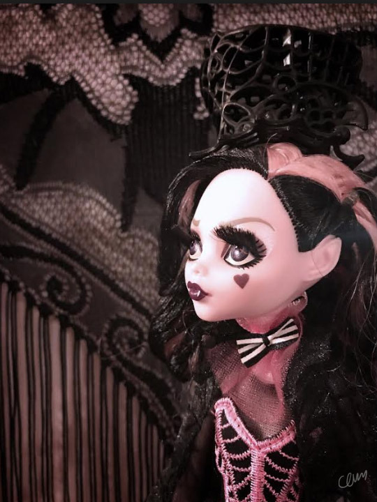 monster high draculaura collector doll