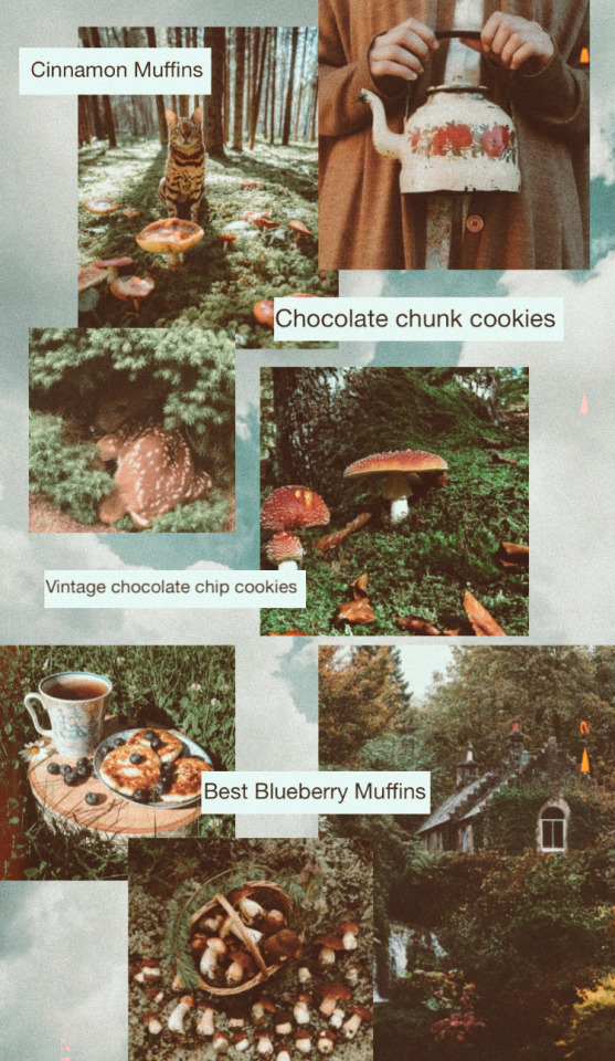 cottagecore aesthetic on Tumblr