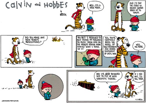 Calvin and Hobbes