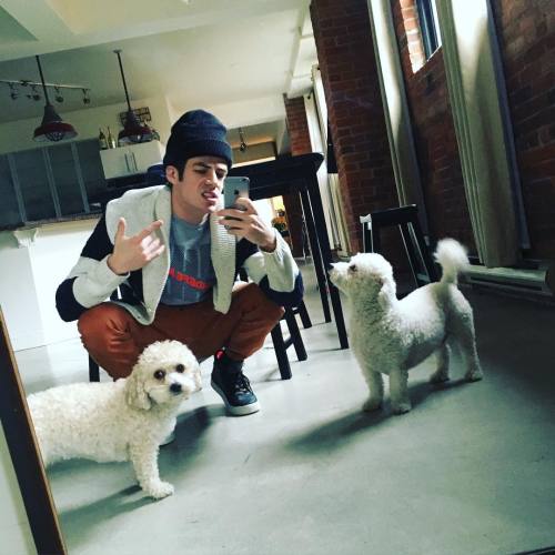 Grant Gustin and his Dogs