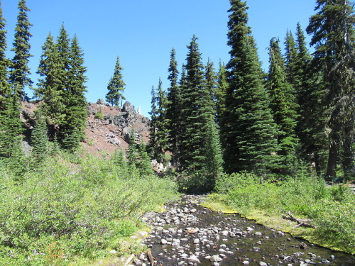 deanschlichting:Obsidian Creek #2, Willamette National Forest,...