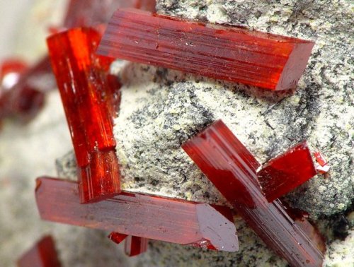 geologyin-blog:This outstanding Realgar specimen is from No 5...