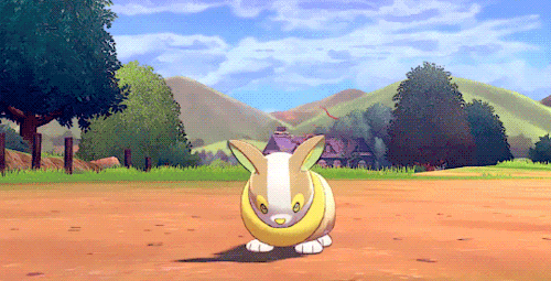 shelgon