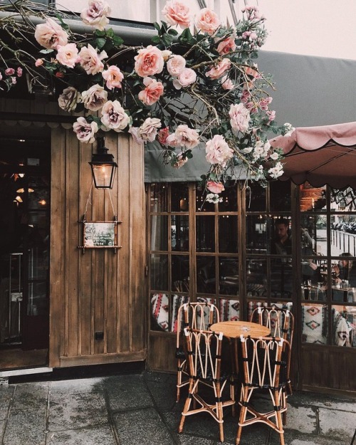 floral coffee shops | Tumblr