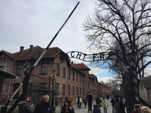 therosseverett:Heavy day. Today I went to Auschwitz and...