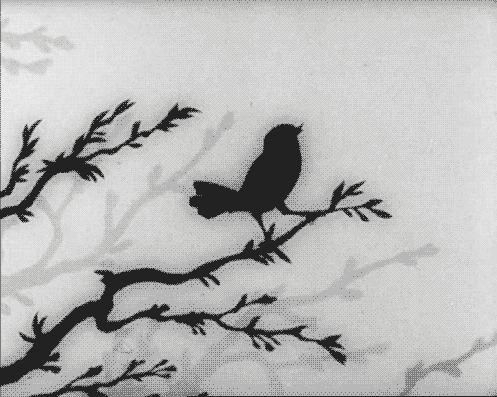 tumblr_nmlnv76mV31syg0hgo1_500.gif