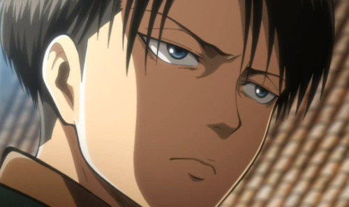 Levi’s Eye Color Levi’s eye color is officially...