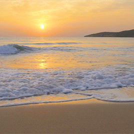 13 perfect beach GIFs to calm you when youre stressed 