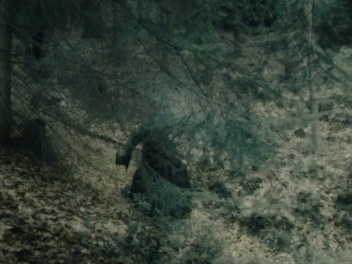 speakingparts:Faust [Aleksandr Sokurov 2011]