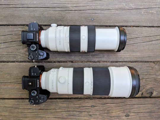 REVIEW: Lente Telefoto Sony FE 200-600 F/5.6-6.3 G OSS