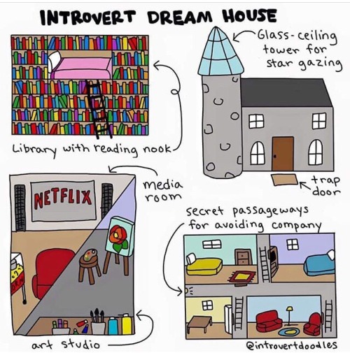 introvert dream home books stargazing Netflix top post