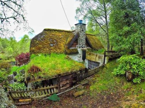 voiceofnature:Whimsical hobbit house built by Stuart Grant....