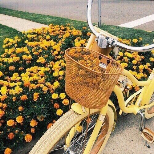 pastel yellow bike with basket