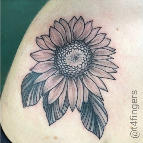 Pretty sunflower action from the other day.For scheduling and...