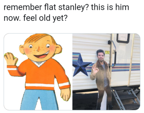 how did flat stanley get flat