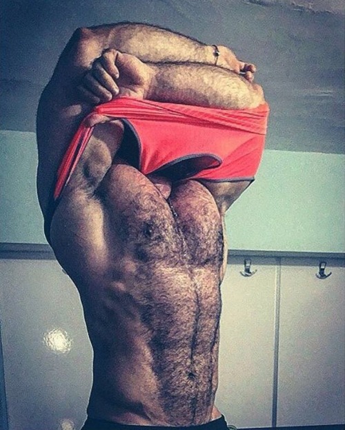 bulkingstud: