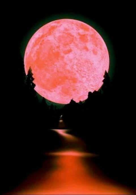 #moon