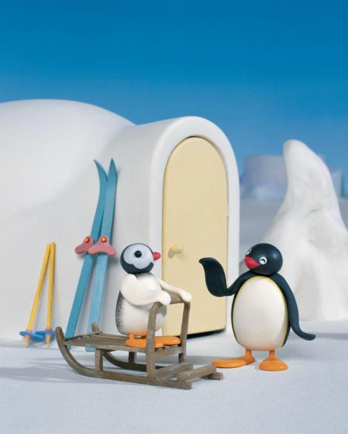 Включи пингу. Пингу мультсериал кадры. Pingu 2003. Pingu Россия. Pingu Family фигурка.