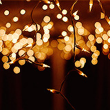 twinkle lights on Tumblr