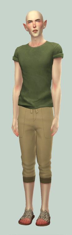 sims4dragonage
