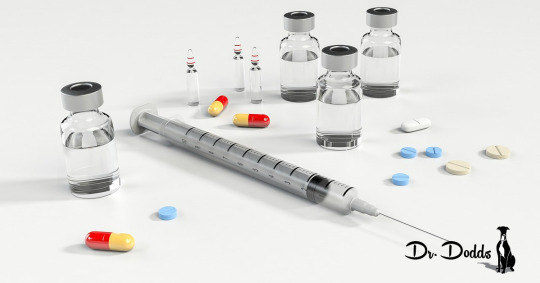 Antibiotics: A Too Common Household Name