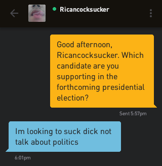 Me: Good afternoon, Ricancocksucker. Which candidate are you supporting in the forthcoming presidential election? Ricancocksucker: Im looking to suck dick not talk about politics