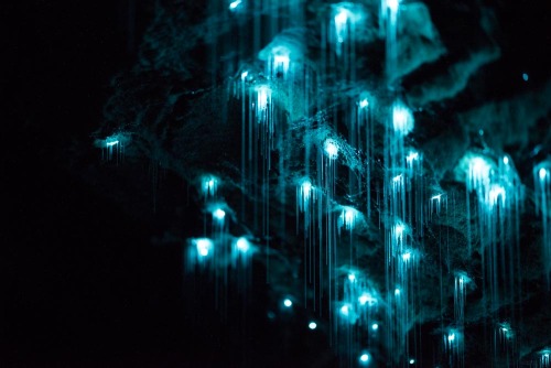 opticxllyaroused:Spectacular Long-Exposure Photos of New...