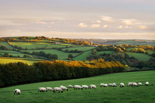 wanderlusteurope: âPillaton, Cornwall, England â